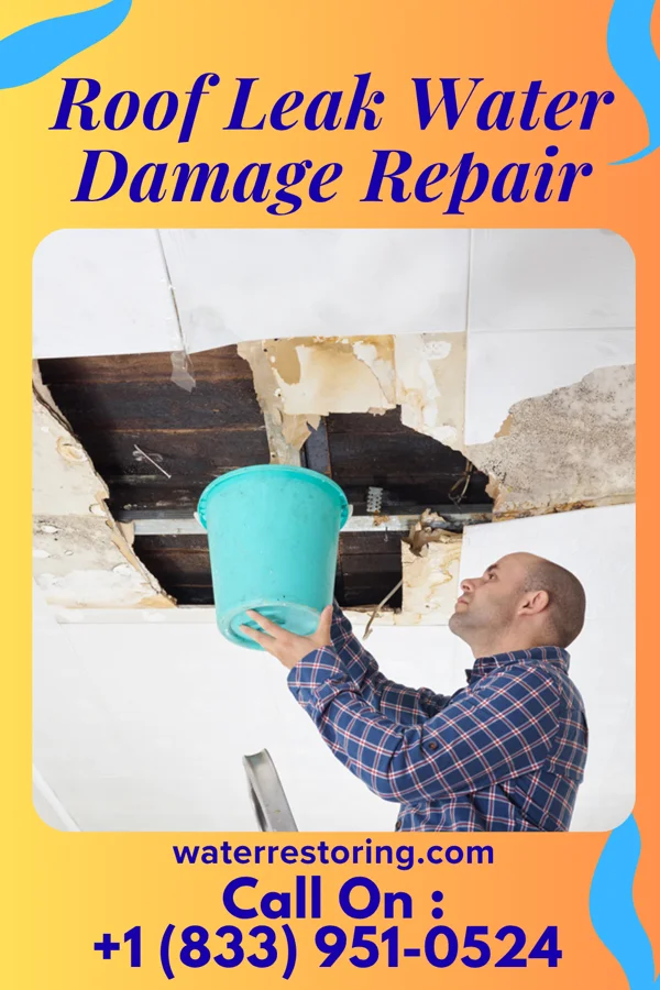 Roof Leak Water Damage Repair in Marianna, PA