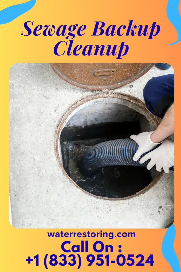 Sewage Backup Cleanup in Marianna, PA