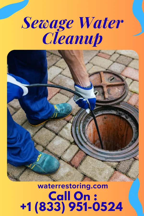 Sewage Water Cleanup in Marianna, PA