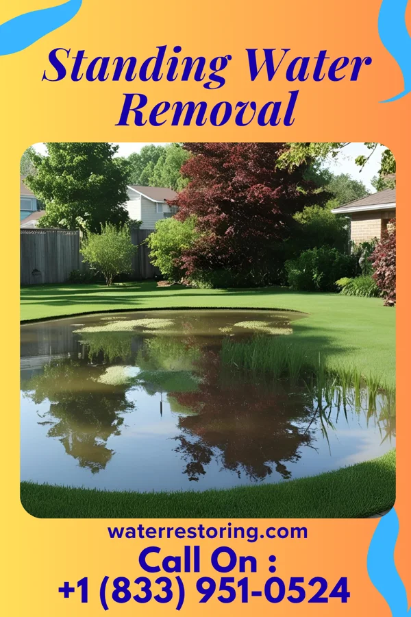 Standing Water Removal in Marianna, PA